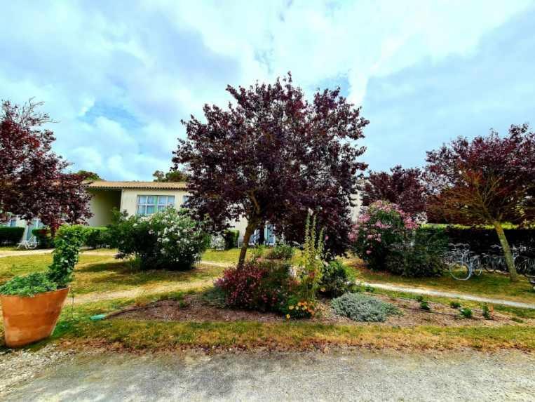 Appartement 91 Palais Des Gouverneurs Saint-Martin-de-Ré 외부 사진