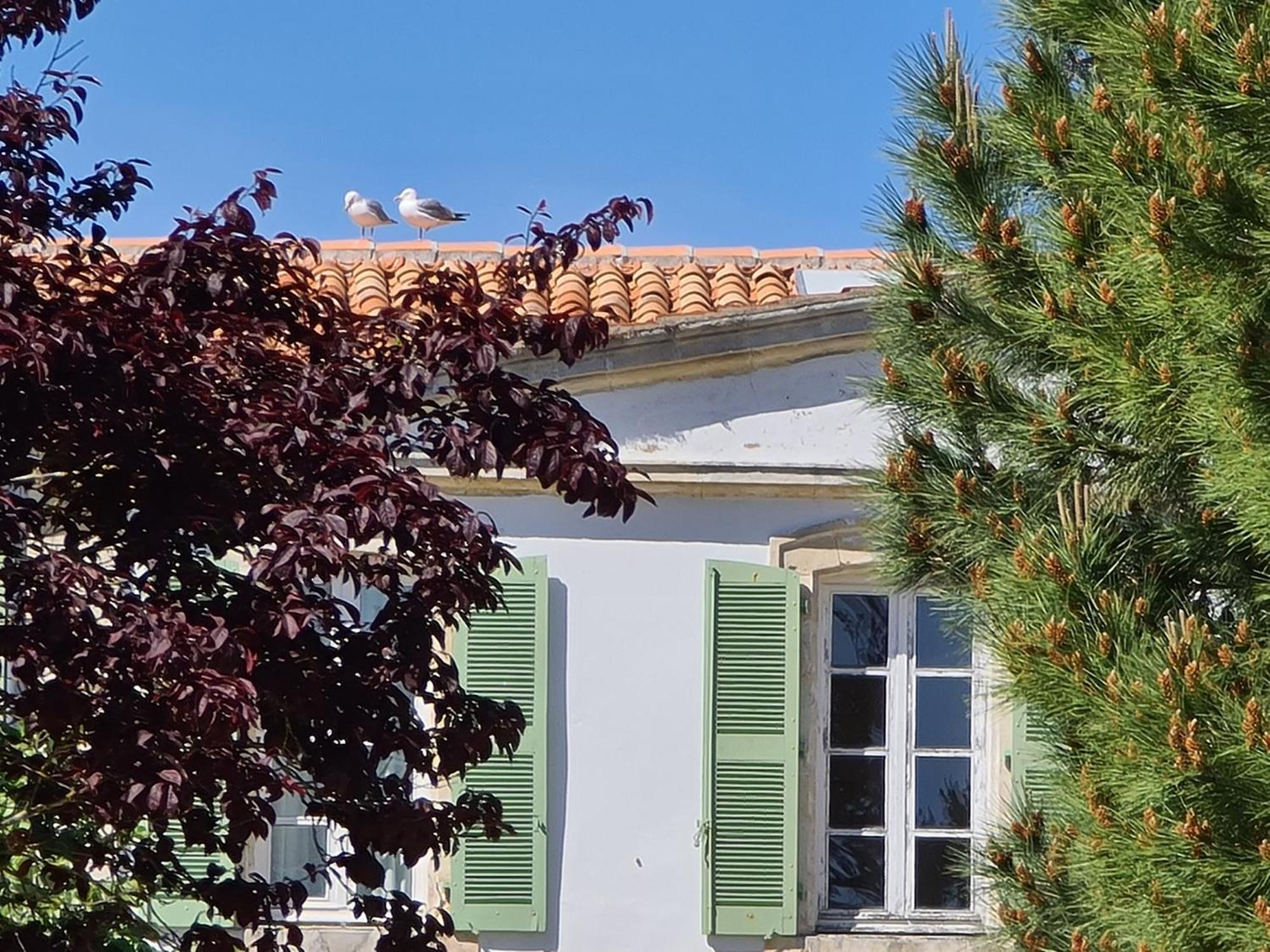 Appartement 91 Palais Des Gouverneurs Saint-Martin-de-Ré 외부 사진